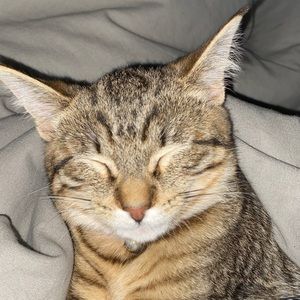 Meet your Posher, Alva